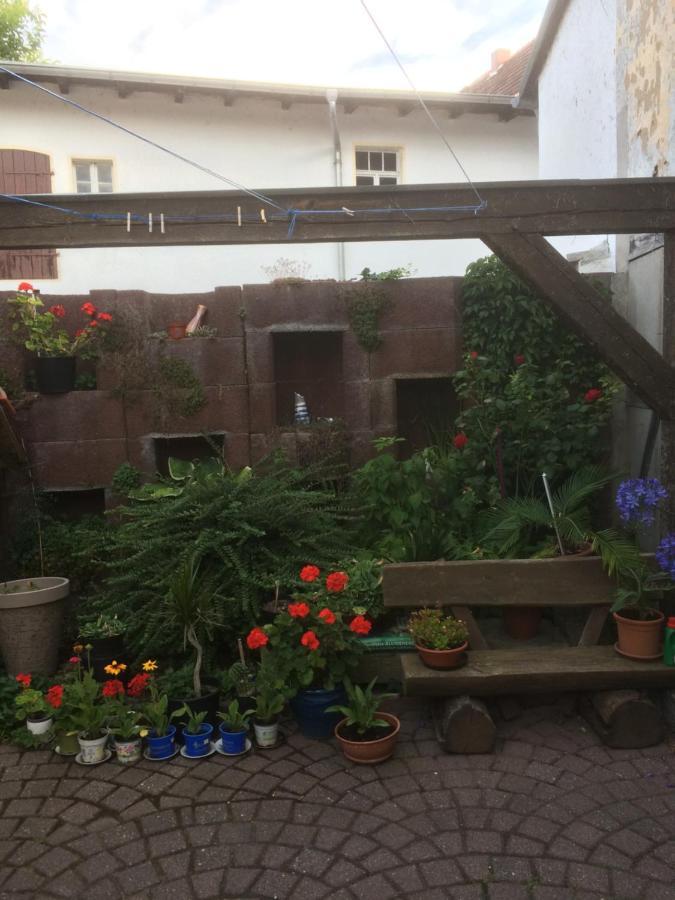 Otterbau Appartement Belgern-Schildau Buitenkant foto