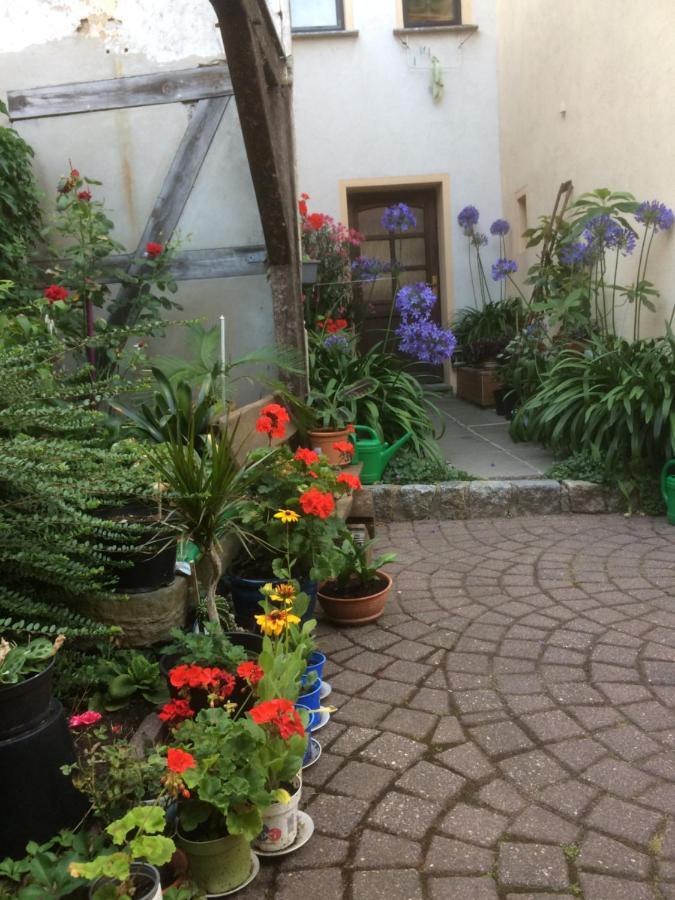 Otterbau Appartement Belgern-Schildau Buitenkant foto