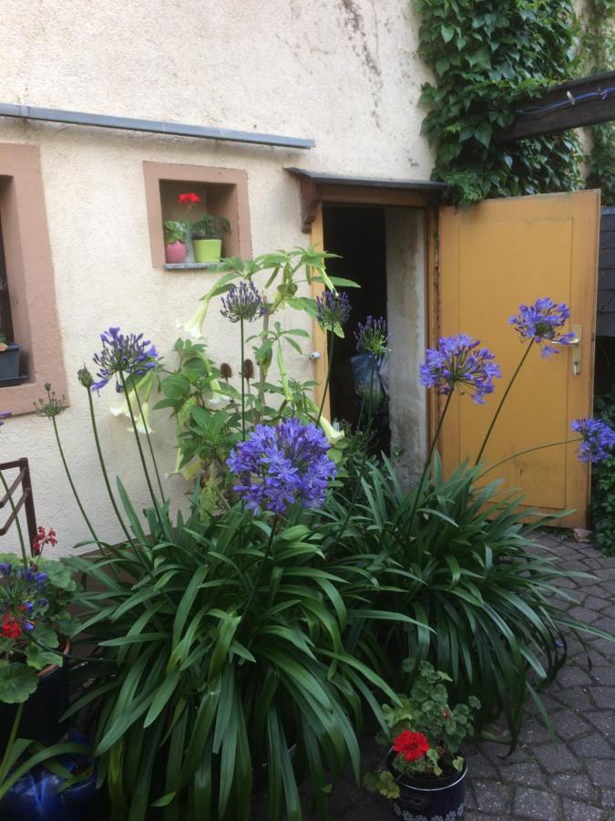 Otterbau Appartement Belgern-Schildau Buitenkant foto