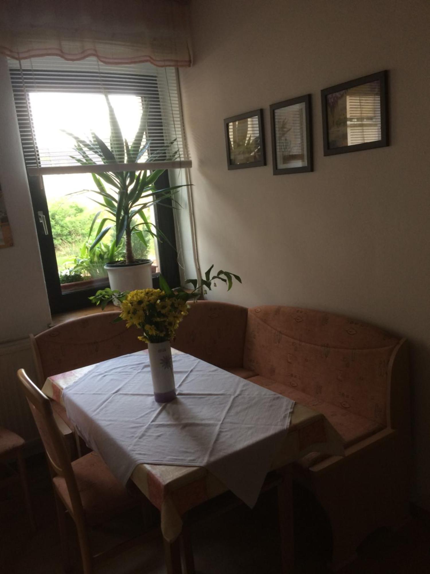 Otterbau Appartement Belgern-Schildau Buitenkant foto