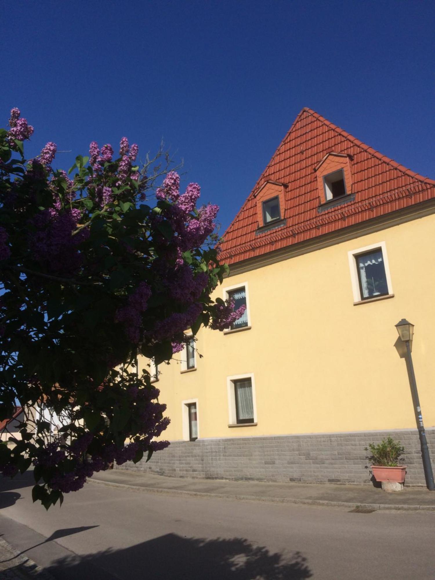 Otterbau Appartement Belgern-Schildau Buitenkant foto
